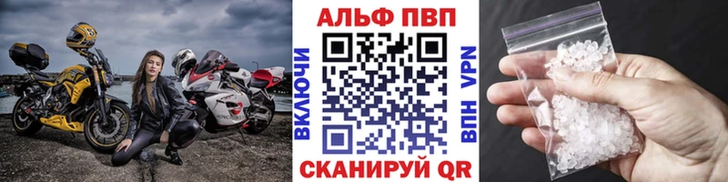 Купить где  Пошехонье  APVP мука 