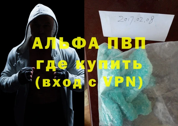 PSILOCYBIN Бородино