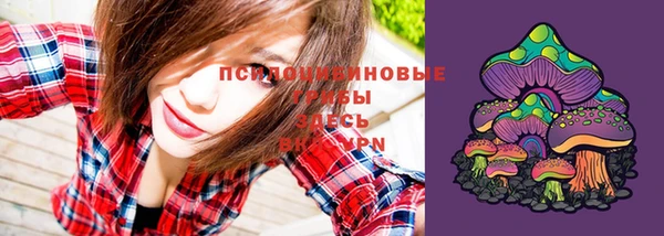 таблы Бронницы