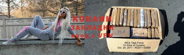 PSILOCYBIN Бородино